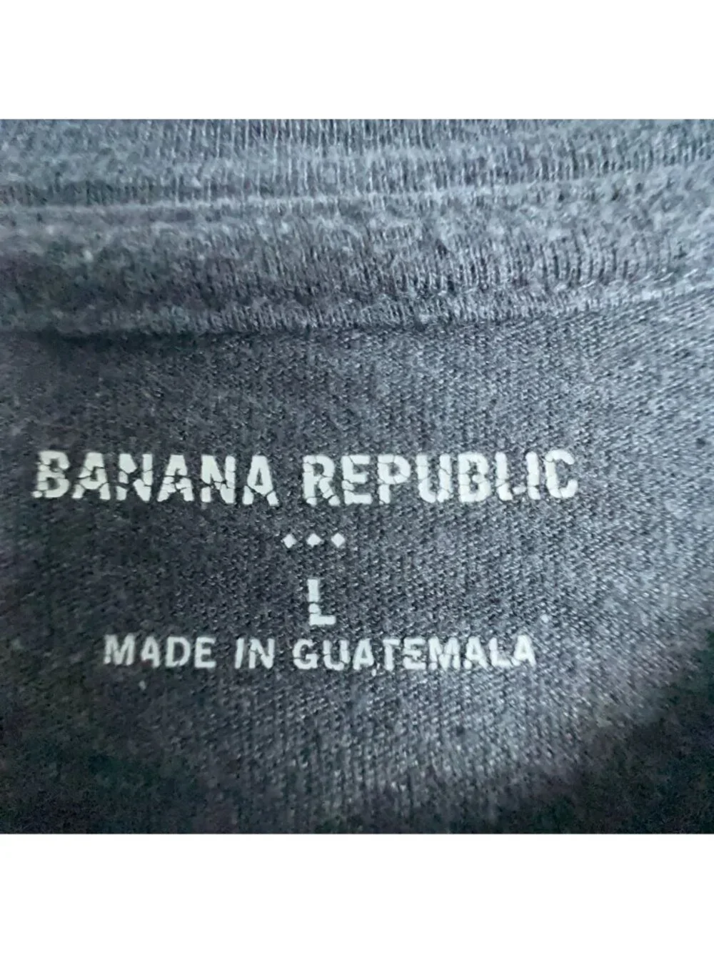 Banana Republic T-Shirt Mens Size Large Gray Carpe Skiem Graphic Crew neck